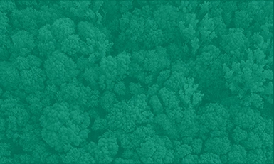 Carbon Capture USA 2026